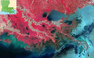 False-color image of the larger Mississippi River Delta