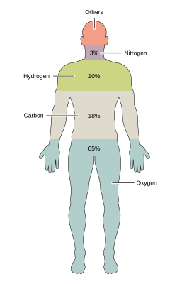 The main elements that compose the human body shown from most abundant (by mass) to least abundant