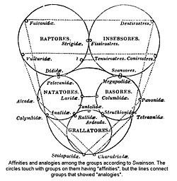 William Swainson's Quinarian classification of birds