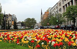 Modena street