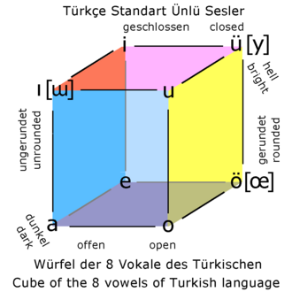 Vowels of Turkish.[54]
