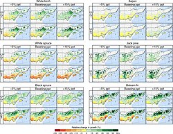 The response of six tree species common in Quebec's forests to 2°C and 4°C warming under different precipitation levels.
