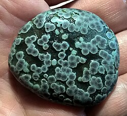 Variolite pebble, Maguelone, Hérault, France.