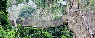 A canopy walkway at Kakum National Park in Ghana, ensuring that tourists have least direct impact on the surrounding ecology. The visitor park received the Global Tourism for Tomorrow Award in 1998.