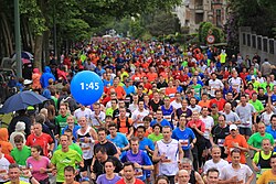 20 km of Brussels