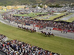Maiden Cup 2006 - To The Line, winner of the race