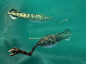 The Tully monster, a strange looking extinct animal with eyes like a hammerhead protruding from its back, may be an early jawless fish.