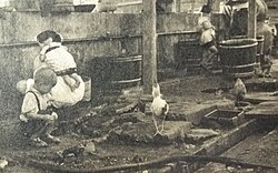 Edakawa Korean Town, Koto, Tokyo in 1953