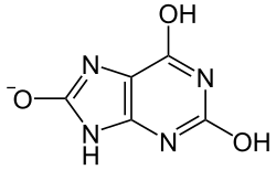 Urate ion, a conjugate base of uric acid