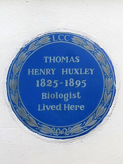 Blue plaque commemorating Huxley in Marlborough Place in London
