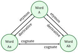 Graphical representation of the relationships between etymologically-related words. 'Etymon' is used in linguistic jargon, while 'root' is the more common colloquial term.