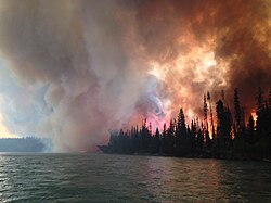 The Funny River Fire in Alaska burned 193,597 acres (78,346 ha), mostly Black spruce taiga