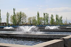 Aerators in a fish farm (Ararat plain, Armenia)