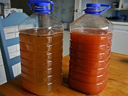 Two varieties of sima: original (left) and rhubarb (right)