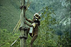 Yali Mabel, Kurulu Village War Chief at Baliem Valley