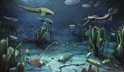 Life reconstruction of the Linyi Lagerstätte in Northern China