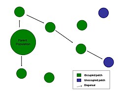 Dispersal from parent population