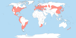 Asian Lady Beetle Habitat Range