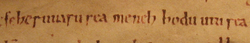 The oldest surviving words written in Hungarian, from the founding declaration of the Benedictine Abbey of Tihany, 1055. It reads "feheruuaru rea meneh hodu utu rea" (in modern Hungarian "Fehérvárra menő hadi útra", meaning "to the military road going to Fehérvár").
