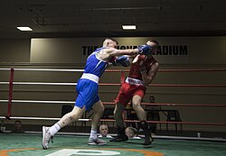 Boxer (left) using a Cross