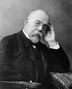 Robert Koch showed that microorganisms caused disease.