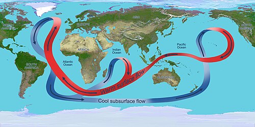 The ocean conveyor belt carries warm surface waters (red) northward near the surface and cold deep waters (blue) southward. Diverse and flourishing microbial ecosystems have been found deep in the belt.[43][44]