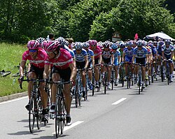The peloton of the Tour de France