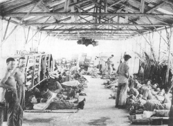 U.S. Marines with malaria in a field hospital on Guadalcanal, October 1942