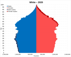 White Americans (alone/single race) population pyramid in 2020