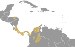 The Chibchan languages