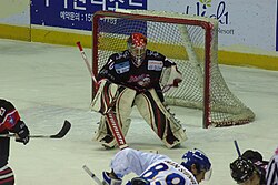 With three new goaltenders in 2010, Mistuaki Inoue became the team's number one, playing in all 36 games.
