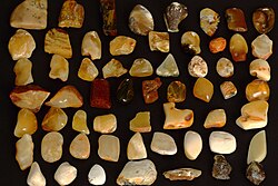 Baltic amber was a valuable trade item, transported from the region of modern-day Lithuania to the Roman Empire through the Amber Road.