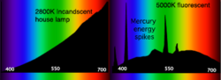 Characteristic spectral power distributions (SPDs) for an incandescent lamp (left) and a CFL (right). The horizontal axes are in nanometers and the vertical axes show relative intensity in arbitrary units. Significant peaks of UV light are present for CFL even if not visible.