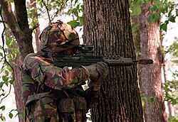 A Royal Marine stands beside a tree to sight in his weapon during a training exercise