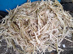 Sugarcane bagasse