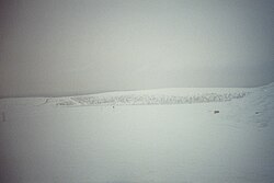 A snowy landscape of Inari located in Lapland (Finland)