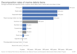 Average estimated decomposition times of typical marine debris items. Plastic items are shown in blue.