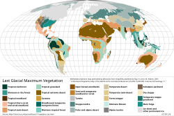 Vegetation types at the time of Last Glacial Maximum. The steppe-tundra, also known as mammoth steppe, was once the Earth's most extensive biome.