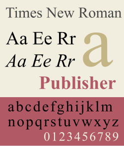An example of the Times New Roman typeface