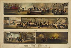 Pork packing in Cincinnati, 1873
