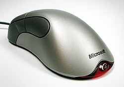 While primarily focused on software, Microsoft also produced a number of successful PC accessories, such as the IntelliMouse computer mice shown here.