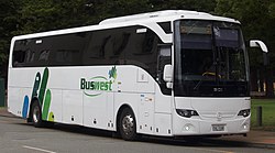 Coach