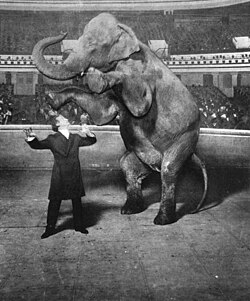 Harry Houdini and Jennie, the Vanishing Elephant, January 7, 1918