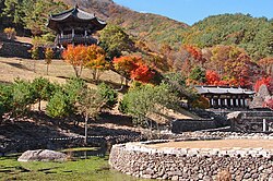 A garden on a hill with many small trees and stone paths