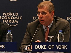 Andrew in his role as the UK's Special Representative for International Trade and Investment at the World Economic Forum on the Middle East, 2008