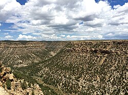 Canyon cut by Mancos River