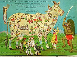 A pamphlet against the practice of cow slaughter