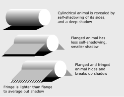 Camouflaged animals and vehicles are readily given away by their shapes and shadows. A flange helps to hide the shadow and a pale fringe breaks up and averages out any shadow that remains.