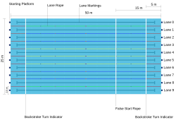 A simplified diagram of the World Aquatics long course swimming pool standard, used at the World Championships and Summer Olympics