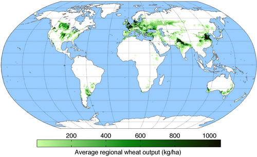 Worldwide wheat production in 2000